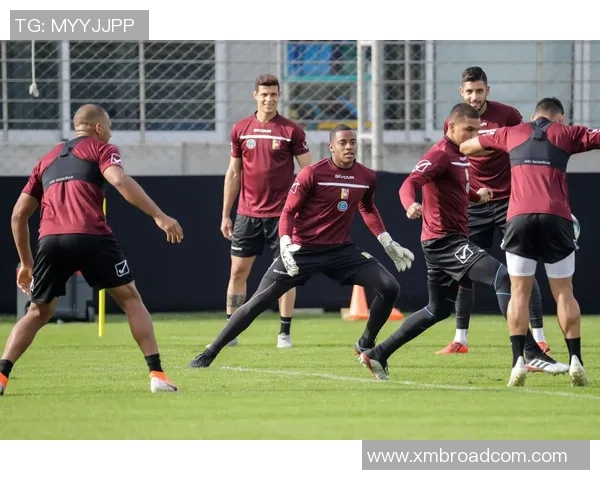 激情四溢的足球美洲杯盛宴各国球队争夺荣耀与梦想的舞台